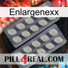 Enlargenexx 07